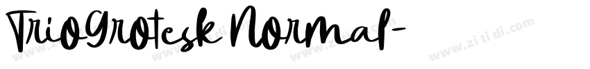 TrioGrotesk Normal字体转换
